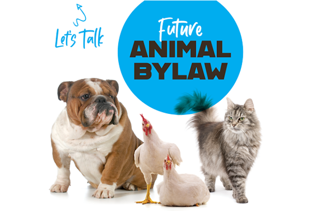 Draft By-Law for the keeping and impoundment of animals
